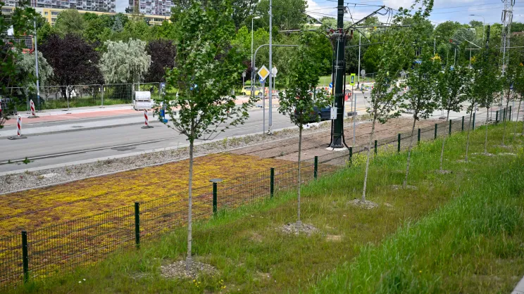 Budowa linii tramwajowej do Mistrzejowic