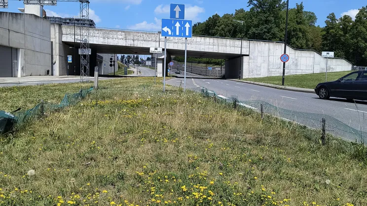 Badania dotyczące częstotliwości koszenia trawników