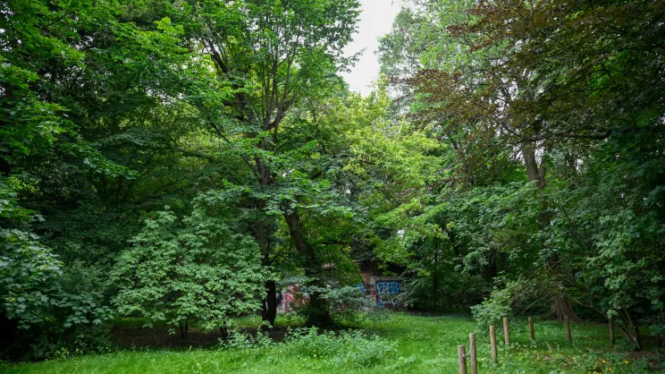Park przy Dworze Czeczów