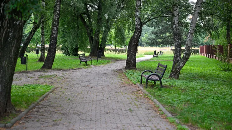 Skwer przy ul. Aleksandry
