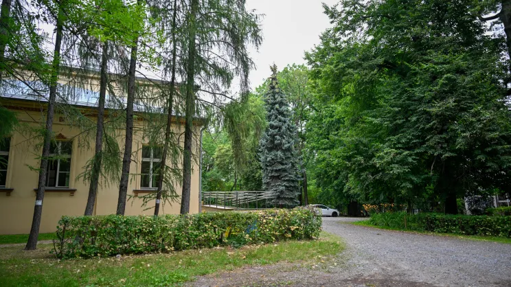 Park przy Dworze Czeczów