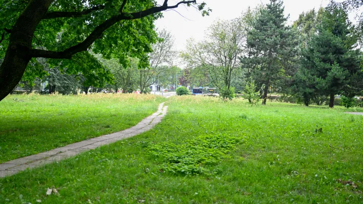 Park Aleksandry. Zdjęcie archiwalne