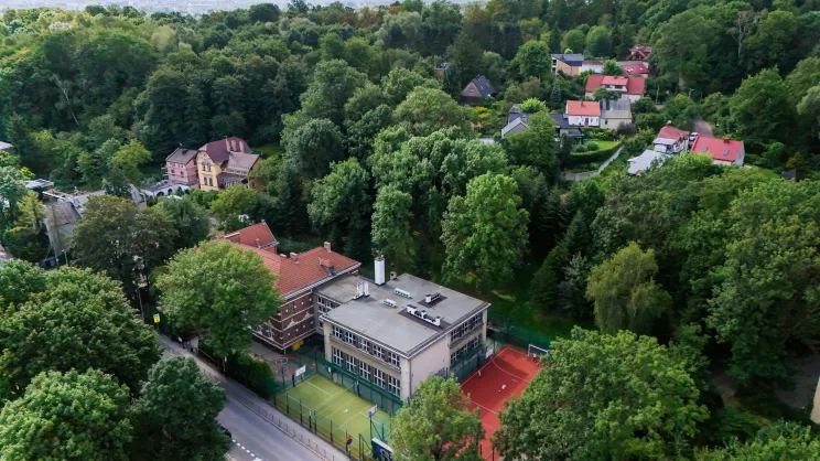 Drzewa przy ul. Królowej Jadwigi 78