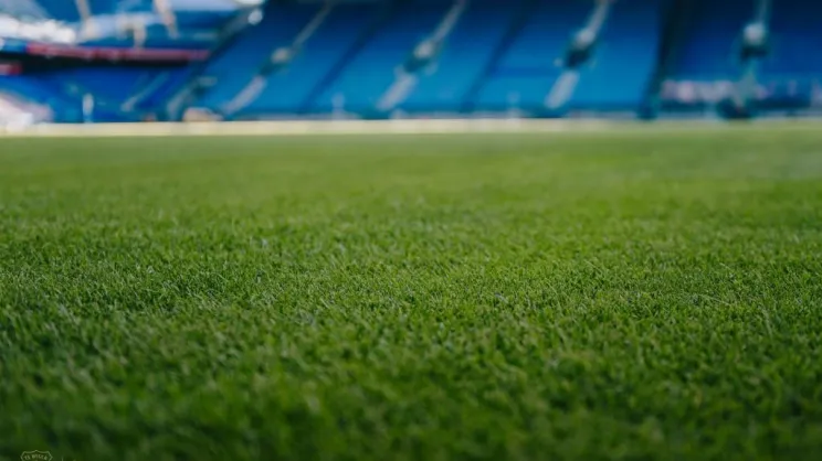 Nowa murawa na stadionie Wisły Kraków
