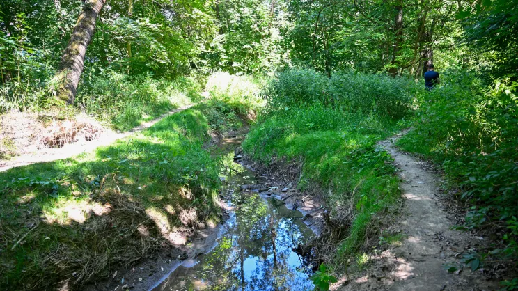 Sudół przy ul. Strzelców