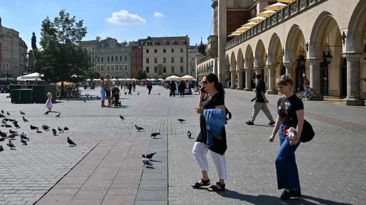 Zieleń na Rynku Głównym