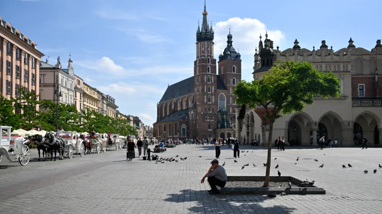Zieleń na Rynku Głównym