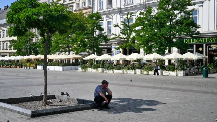 Zieleń na Rynku Głównym