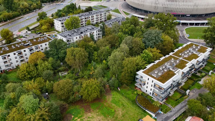 Pozostałości po ogródkach działkowych przy Tauron Arenie