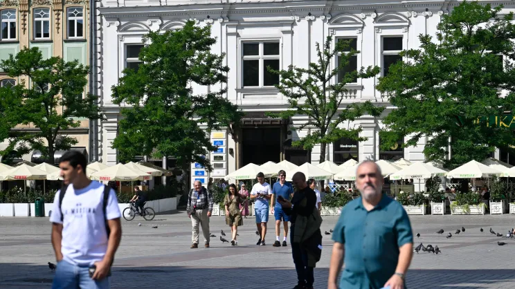 Zieleń na Rynku Głównym