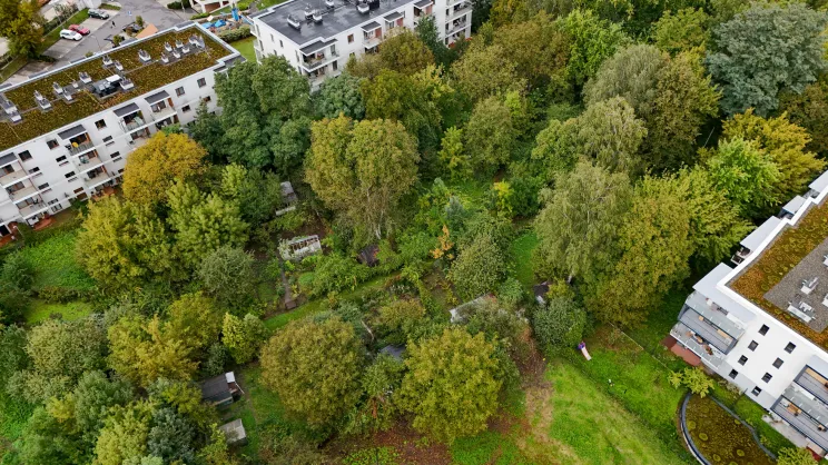 Pozostałości po ogródkach działkowych przy Tauron Arenie