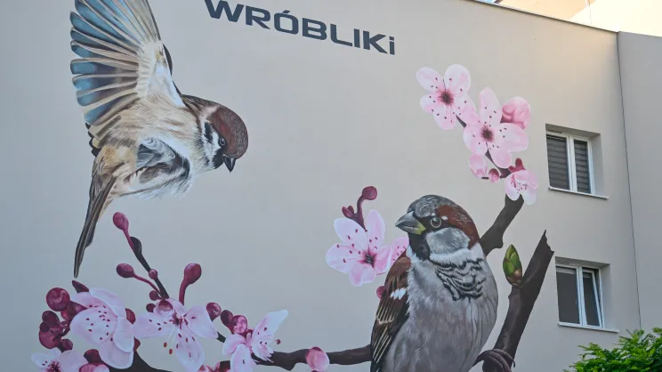 Nowy mural z ptakami przy ul. Kobierzyńskiej