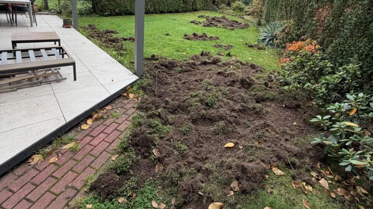 Osiedle domków szeregowych w sąsiedztwie ul. Obozowej i Skośnej