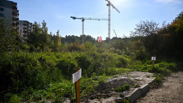 Teren na którym mieszkają bobry, gdzie planowana jest inwestycja