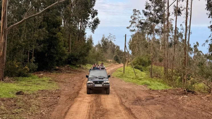 rejs z samochodami o napędzie 4x4 podczas postoju statku na Maderze, fot. organizatora
