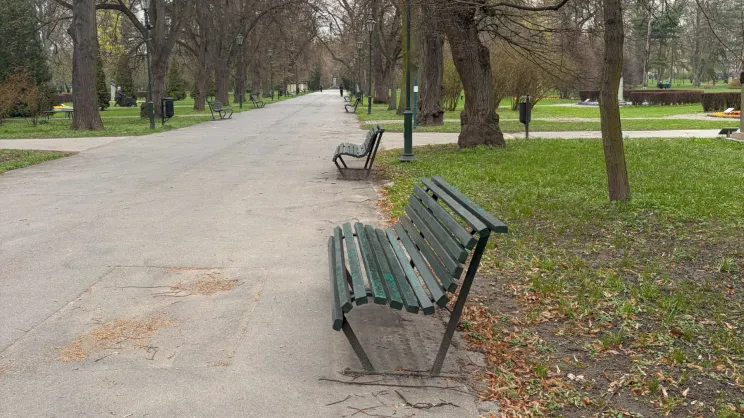 Ławki w Parku Jordana – jako inspiracja dla ławki krakowskiej