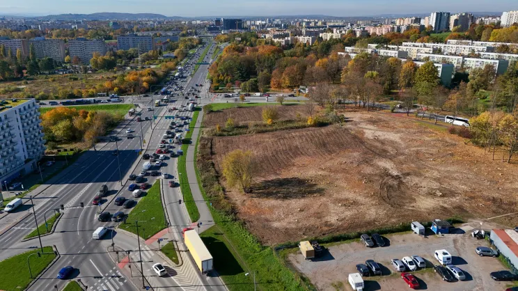 Wycinka 170 drzew pod inwestycję przy Wiślickiej