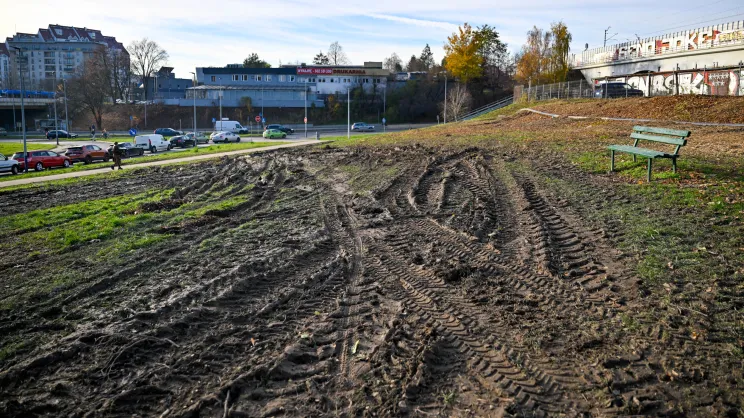 Wycinka drzew pod budowę parkingu P&R