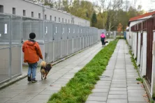 Schronisko dla bezdomnych zwierząt