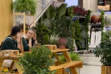 Już w ten weekend odbędzie się Festiwal Roślin