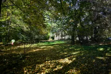 Park przy dworze Czeczów