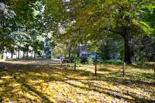 Zabytkowy Park przy Dworze Czeczów
