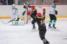 Teddy Bear Toss podczas meczu Comarch Cracovii