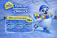 Lodowisko Origo