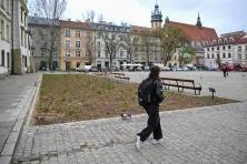 Modernizacja i nasadzenia na Placu Wolnica