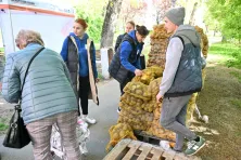  Akcja „Chodźże żywo po warzywo”