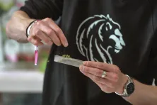 Medyczna marihuana 