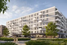 Develia Centralna Vita
