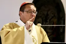 kard. Grzegorz Ryś