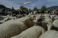 Redyk na Podhalu.