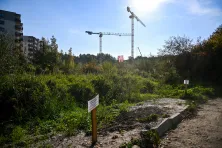 Teren na którym mieszkają bobry, gdzie planowana jest inwestycja