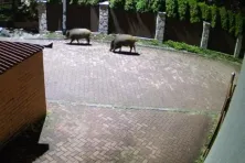 Osiedle domków szeregowych w sąsiedztwie ul. Obozowej i Skośnej