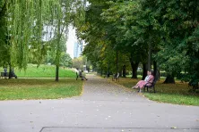 Zieleń w Krakowie