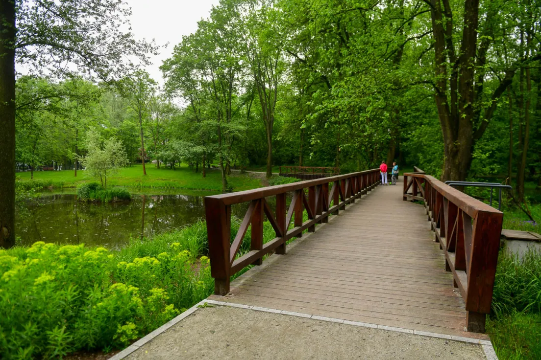 Staw w Parku Duchackim
