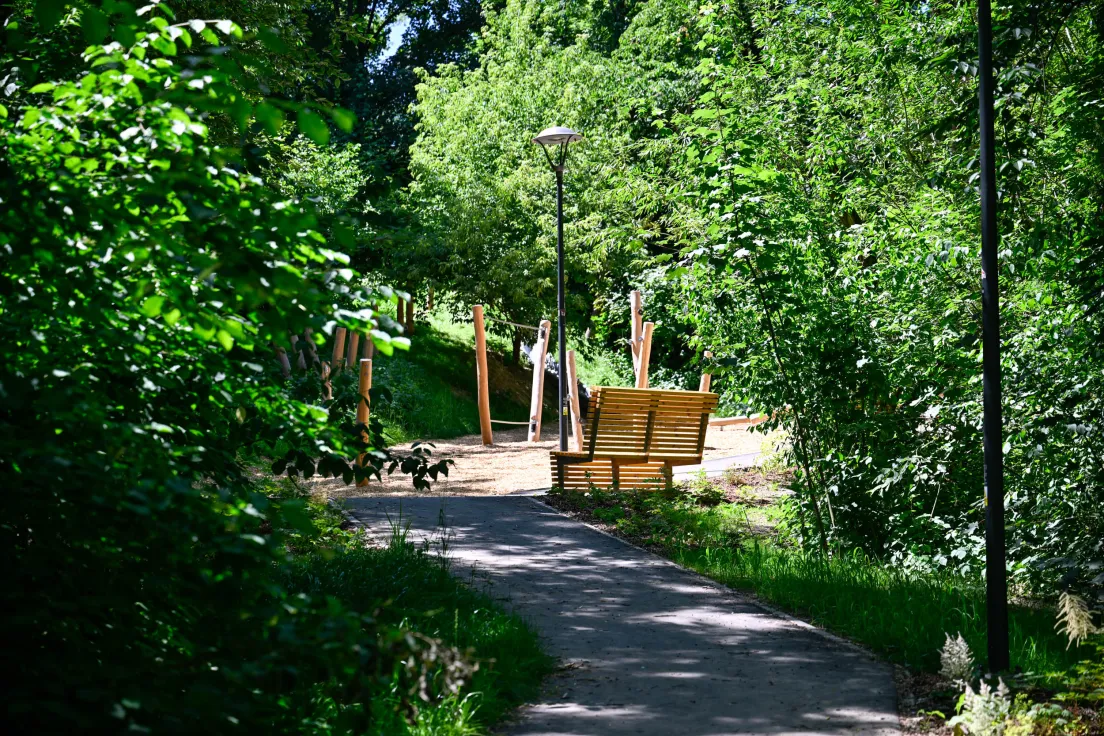 Park Dolina Kurczaba