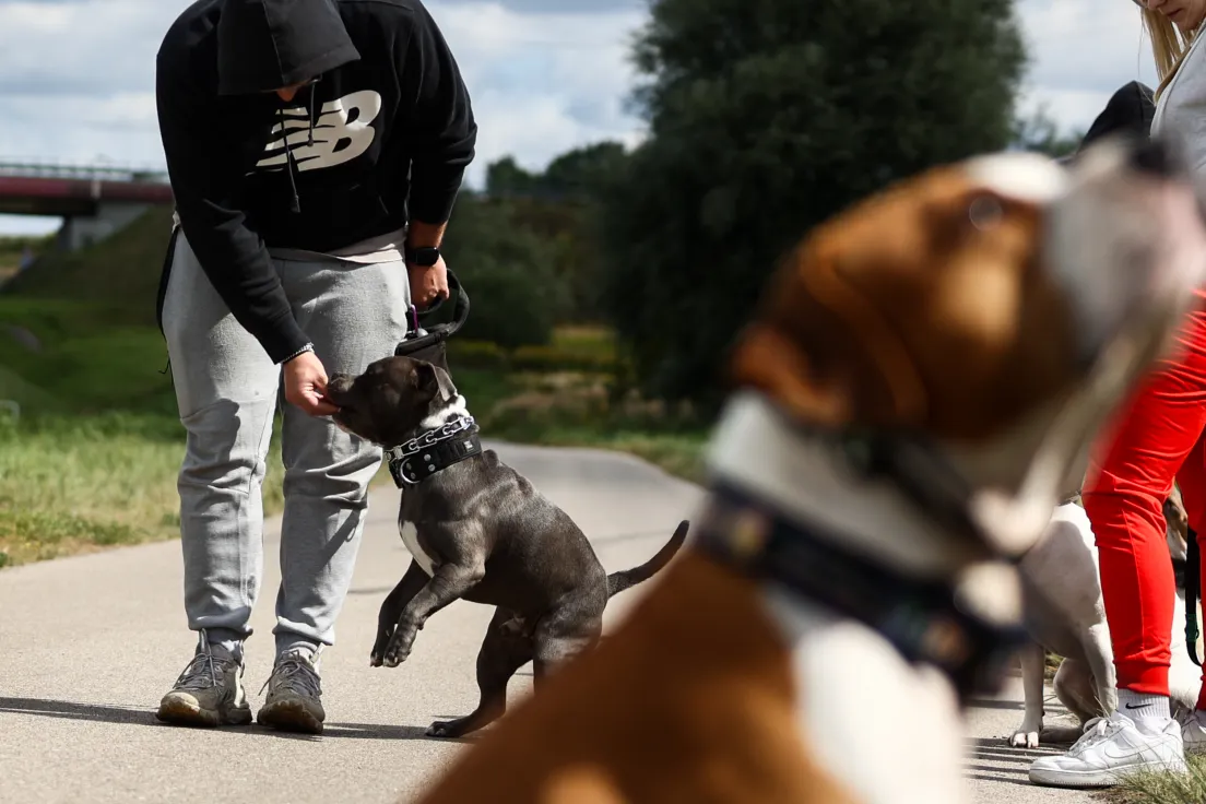 Trening z Coco Corso Academy