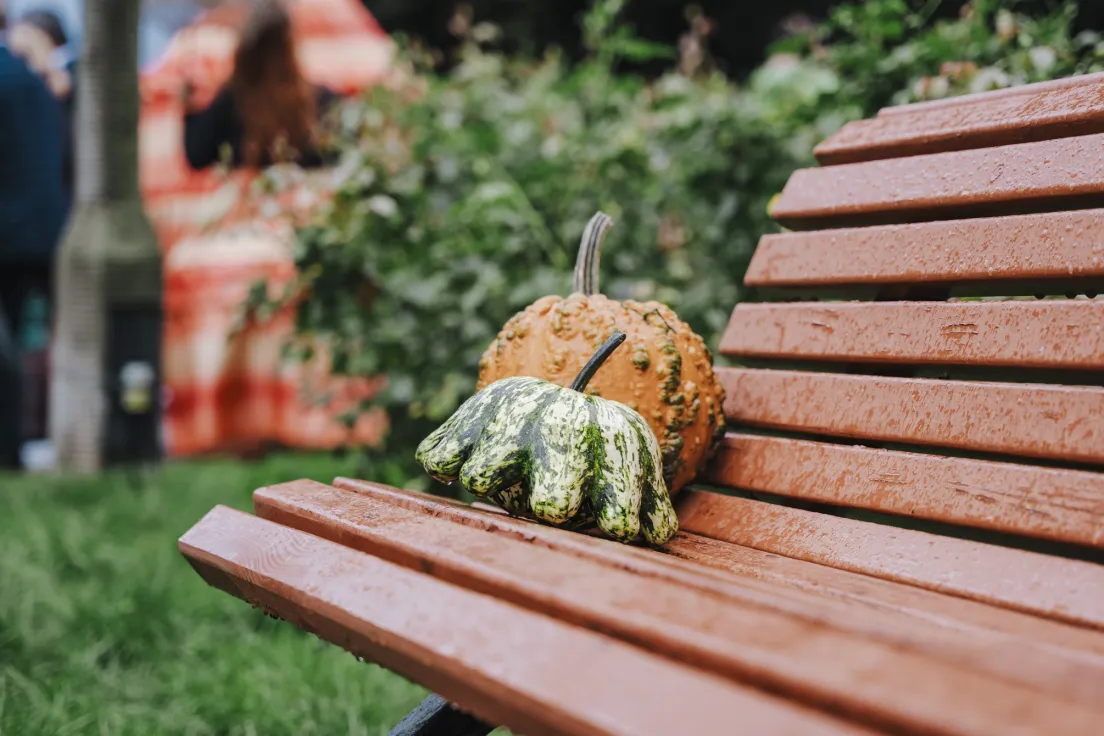 13. Festiwal Zaklęte w Dyni 