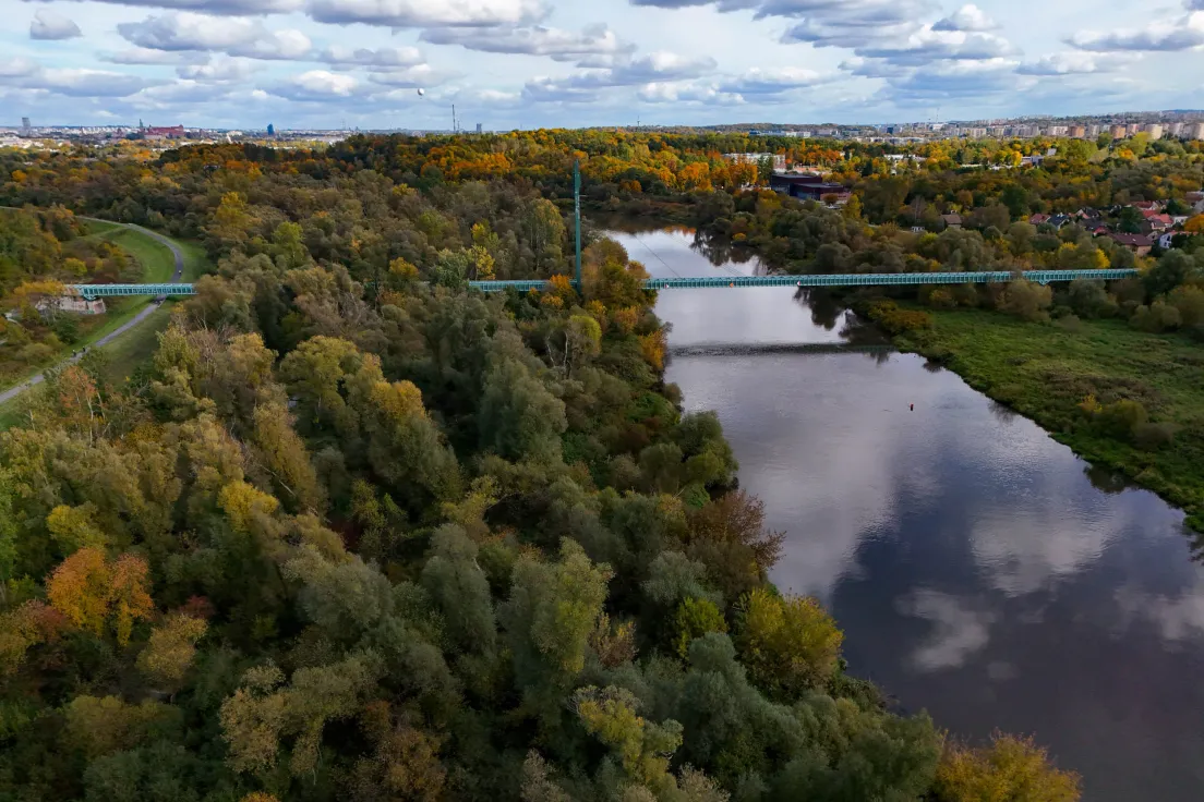 Las Łęgowy na Zwierzyńcu im. Kazimierza Walasza