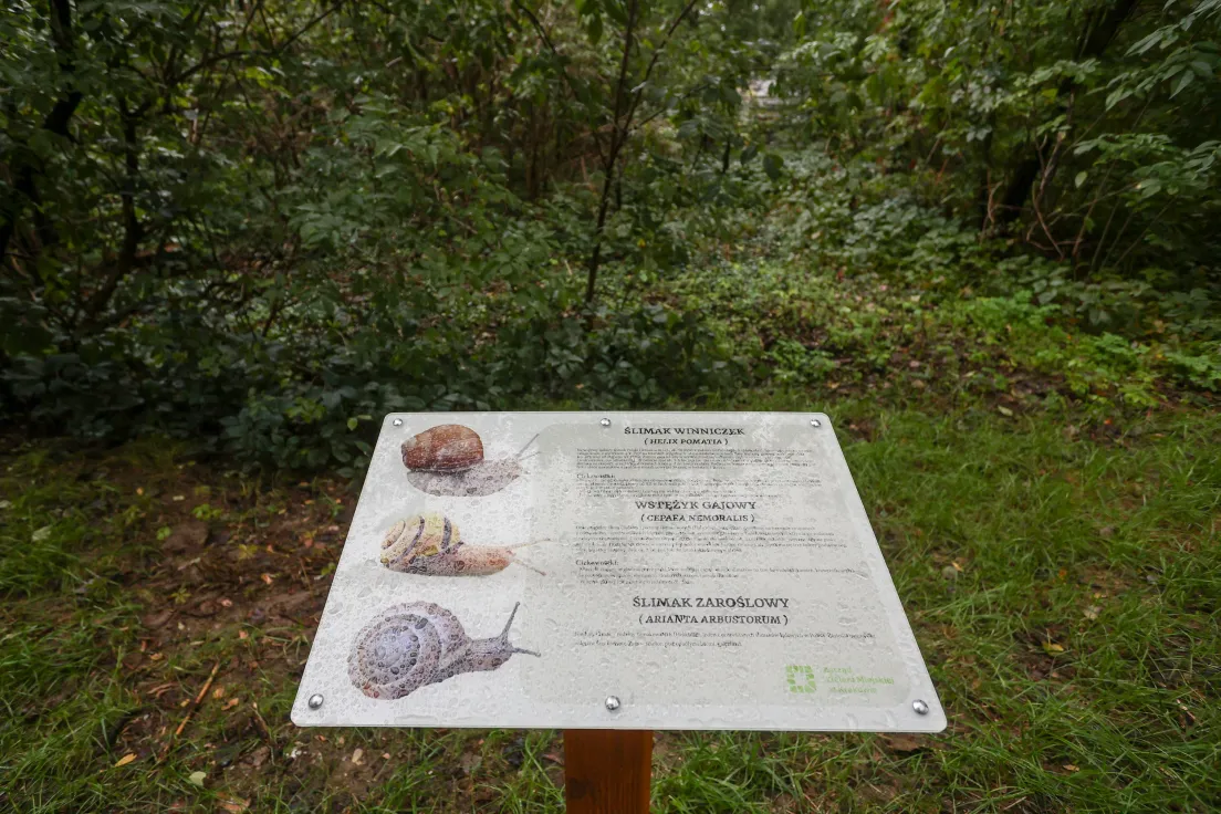 Park Łokietka w Krakowie na kilka dni przed oficjalnym otwarciem