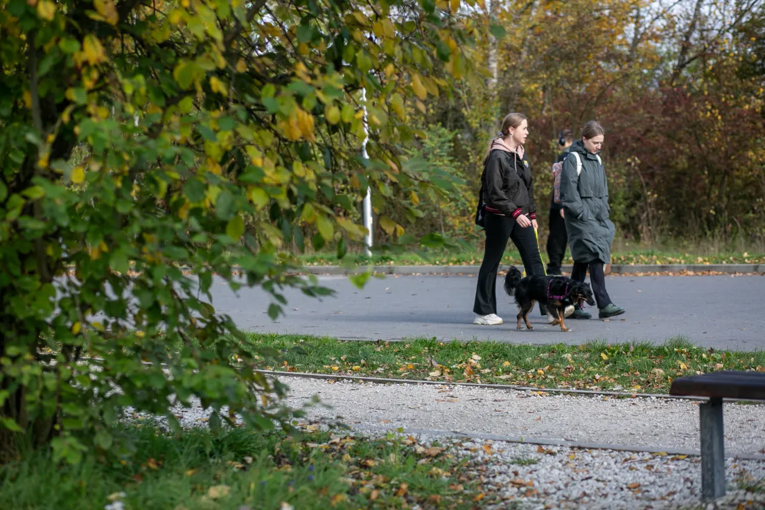 Jesień na Zakrzówku