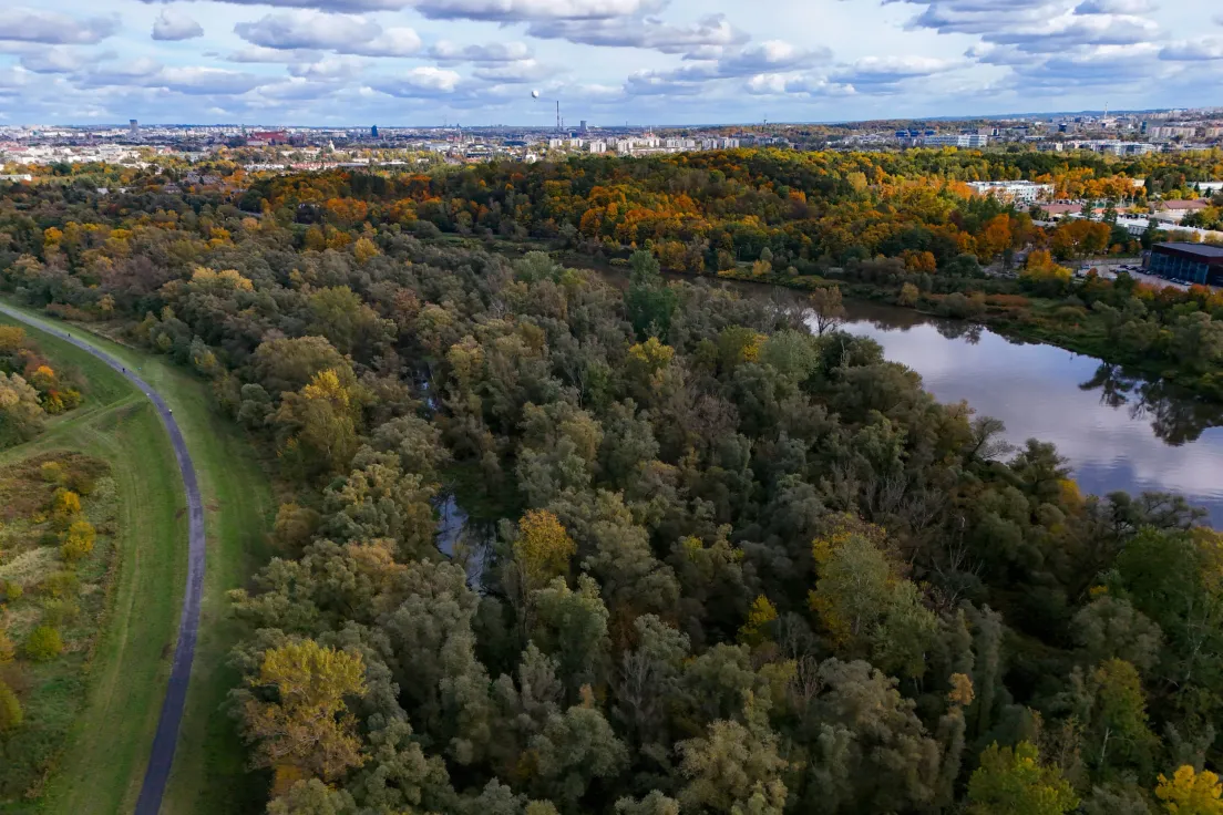 Las Łęgowy na Zwierzyńcu im. Kazimierza Walasza