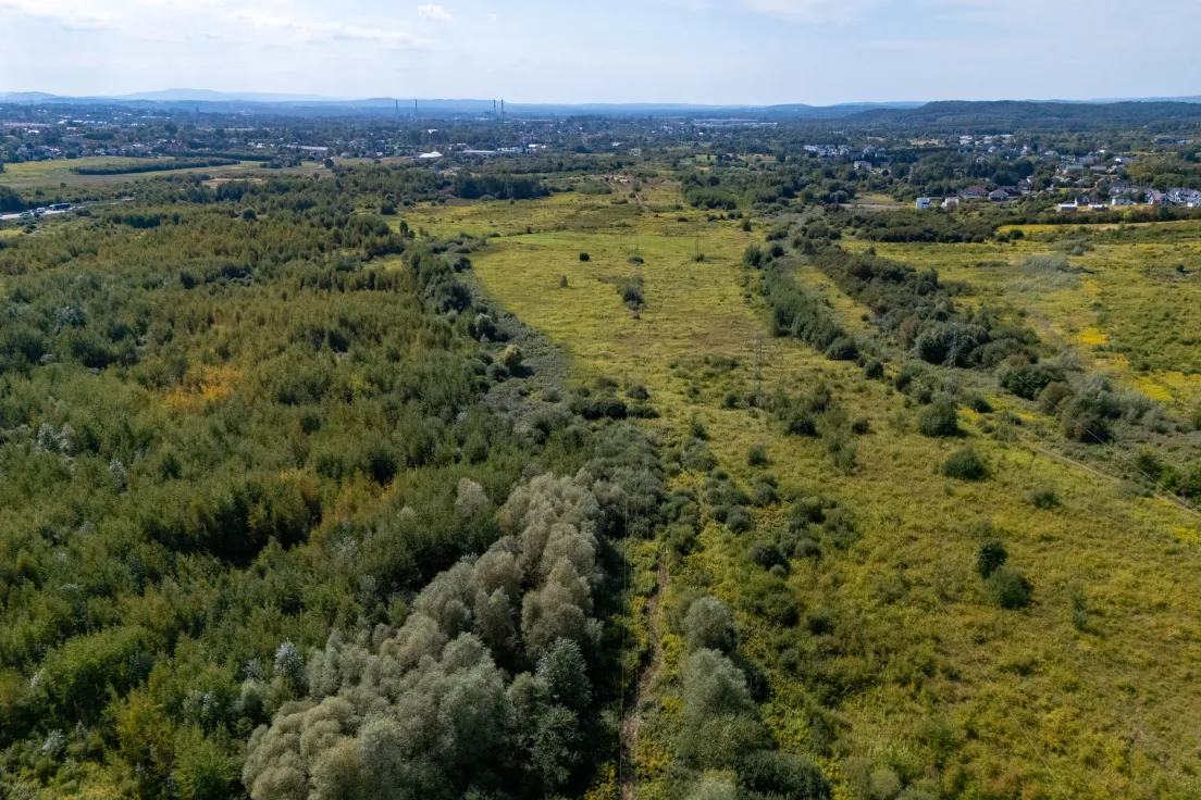 Łąki na Klinach, zdjęcie poglądowe