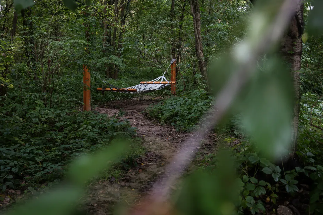 Park Łokietka w Krakowie