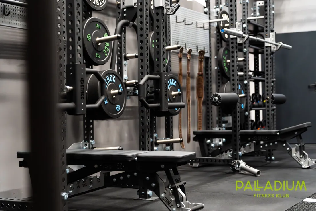 Fitness Palladium