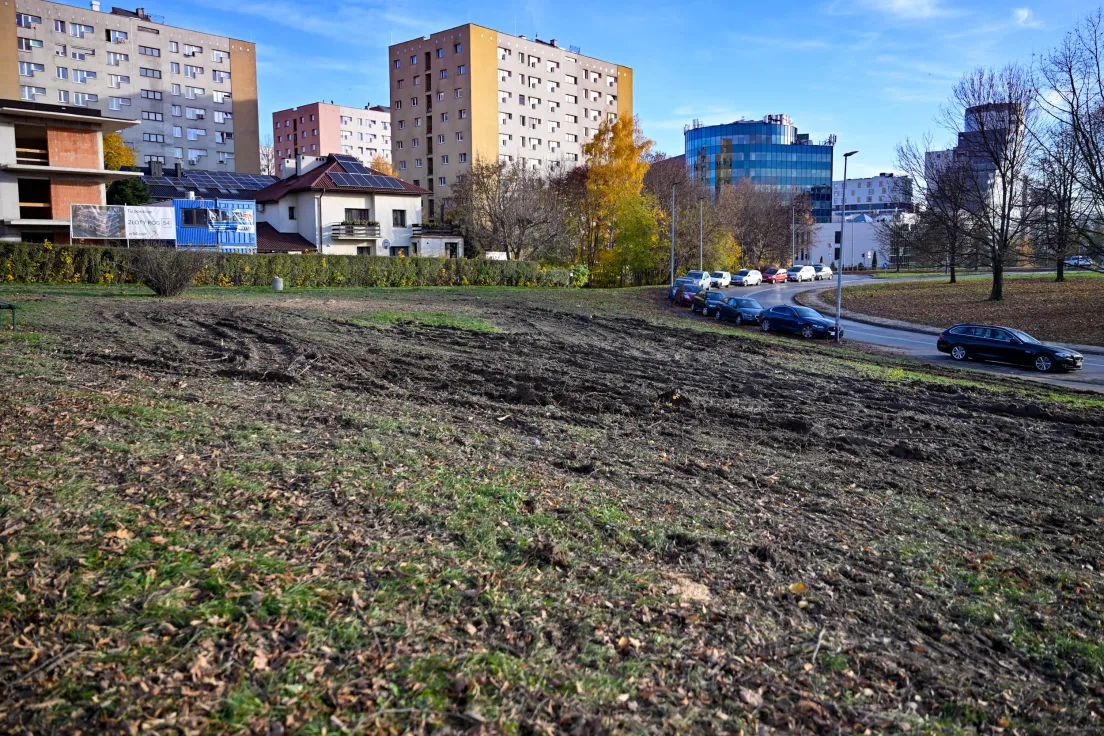 Wycinka drzew pod budowę parkingu P&R