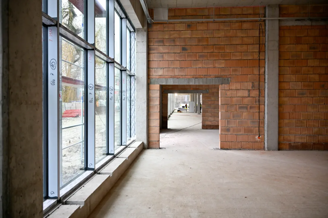 Budowa basenów Clepardia